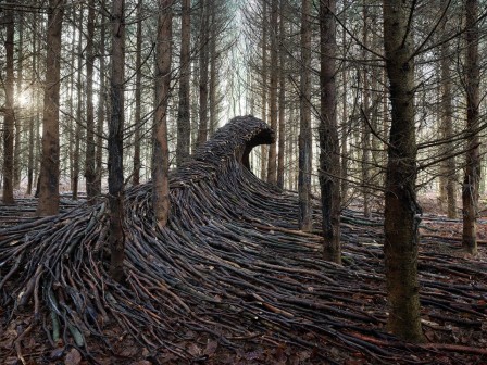 Nine Massive Waves of Deadwood Surge Across a Forest Floor Near Hamburg tempête d'arbres vagues de bois mort la forêt déchainée
