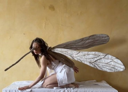 Olesya une personne à quatre pattes portant un costume de moustique ou de libellule fait à la main en papier mâché, avec de grandes ailes texturées et une longue trompe attachée au visage