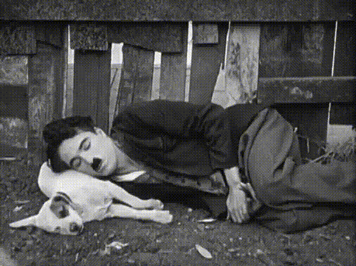 Charlie_Chaplin_Movie_A_Dog_s_Life_1918.gif