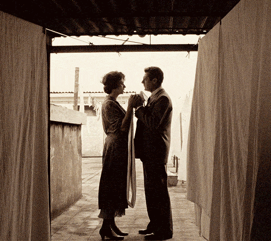 A Special Day une journée particulière (1977) dir. Ettore Scola Sophia Loren Marcello Mastroianni l'avantage des canicules c'est que le linge sèche plus rapidement