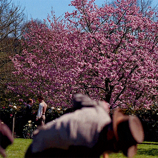 Jane Eyre (2011) cerisier en fleurs printemps le deuxième plan