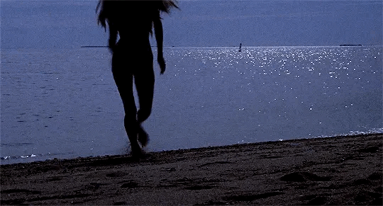 Jaws (1975) Steven Spielberg mer plonger l'appel irrésistible des requins