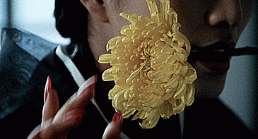 La Malédiction de la fleur d'or (Curse of the Golden Flower) réalisé par Zhang Yimou en 2006, où les personnages manipulent des chrysanthèmes dorés la vengeance de la petite marchande de fleurs