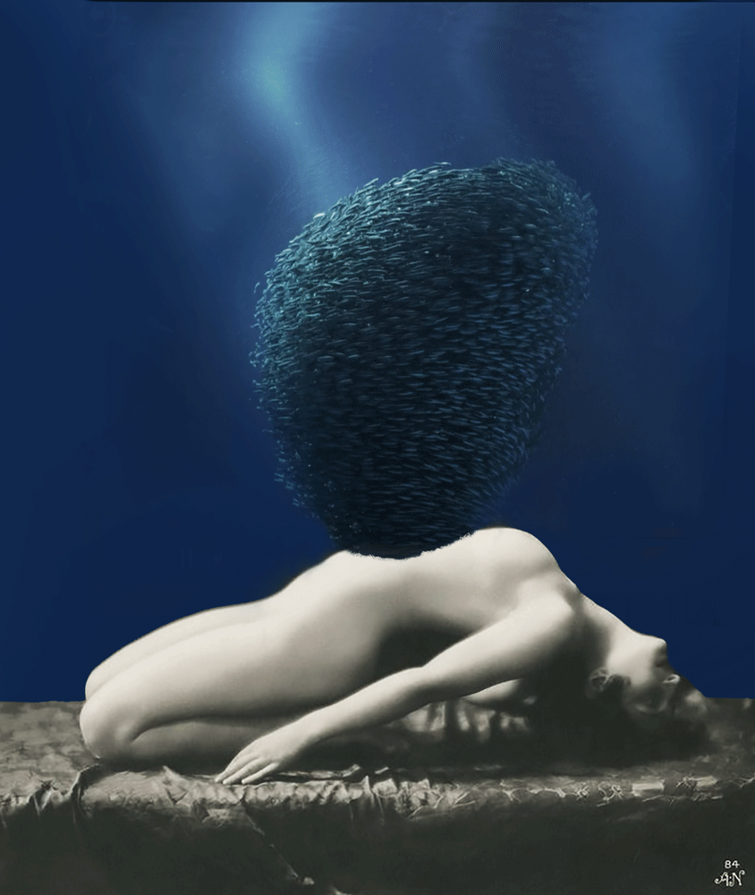Paola Fortunato inner wonder le nuage d'insectes abdominaux