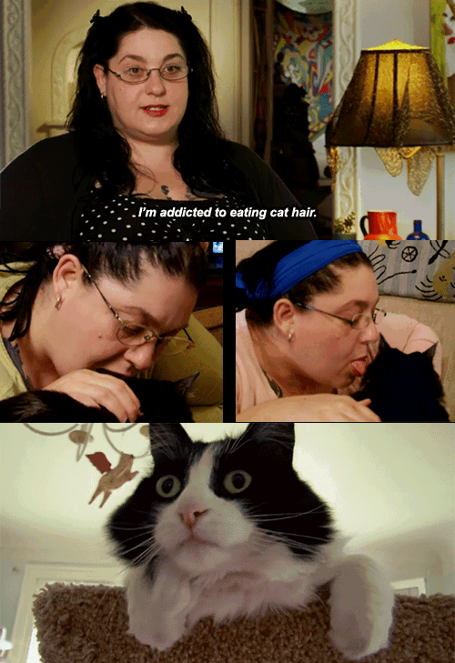drogue l'addiction à ingérer des poils de chat