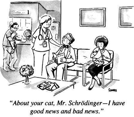Schrödinger cat le chat de Schrödinger mort et vivant la bonne et la mauvaise nouvelle