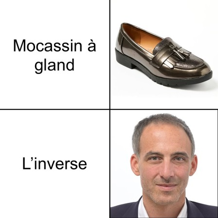 mocassin à gland vs Raphaël Glucksmann