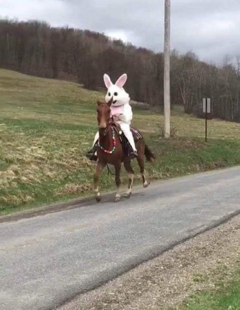 zorro lapin un cavalier qui surgit de la nuit cours vers Pâques au galop