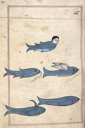 Illustration pour le livre de Zakariya al-Qazwini, Merveilles des choses créées et aspects miraculeux des choses existantes (13ème siècle) poisson d'avril