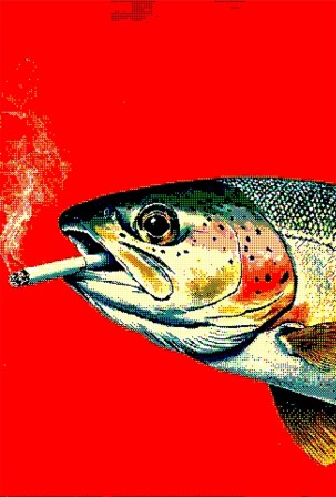 Linnaea Mallette truite arc-en-ciel fumant une cigarette sur un fond rouge vif poisson fumé