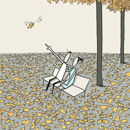 Yuval Robichek Leaves Automne Oh la belle jaune