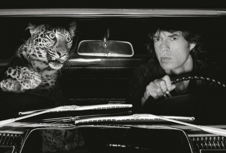Albert Watson Mick Jagger in Car with Leopard Los Angeles couverture.jpg
