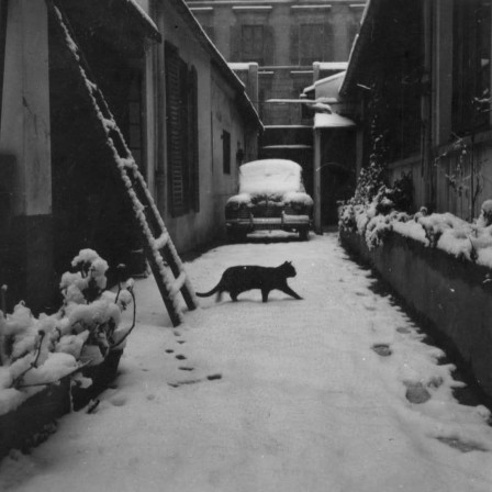 Agnés Varda chat noir dans une ville sous la neige