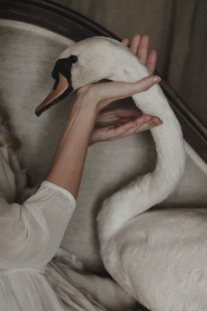 Alina Autumn - Swan &amp;amp; Swan Story cou de cygne l'importance du soutien
