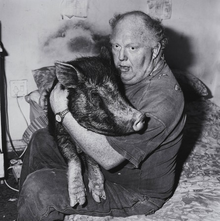 Brian with Pet Pig, Photo by Roger Ballen, 1998 animaux domestiques Sigmund Freud l'homme au sanglier