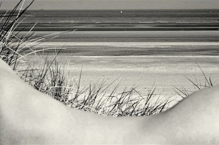 Cecile Baldewyns personne n'épile les dunes en hiver