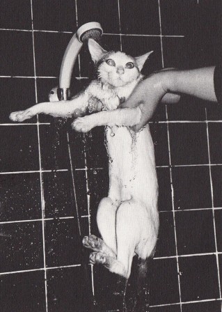 Chiro, mon amour , Nobuyoshi Araki. Relié  Épuisé  120 pages. Publié par Heibonsha, Tokyo, 1995 chat sous la douche au secours