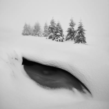 Daniel řeřicha l'oeil était dans la neige et regardait Caïn