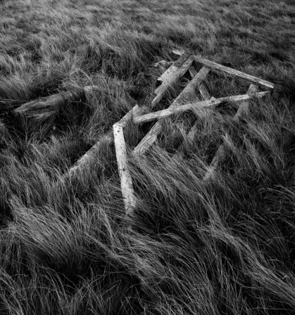 David Williams A Gate in the Grass Abandoned farmstead. North Pennines. UK. la clef des champs derrière la porte verte