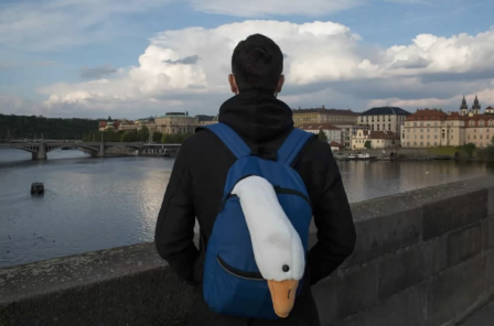 un homme de dos regarde un fleuve, la tête et le cou d'un cygne en peluche dépassent de son sac à dos