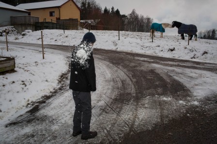 un homme reçoit une boule de neige ; de l'autre côté d'une route d'hiver, deux chevaux en tête à tête