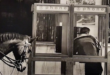 New York : un cowboy dans une cabine téléphonique, sa monture attachée dans la rue