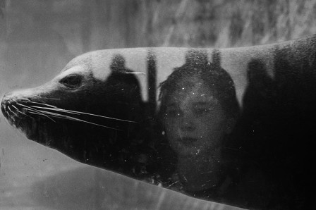 Eleni Onasoglou This photograph is part of The Silence of the Beasts l'esprit des animaux marins otarie