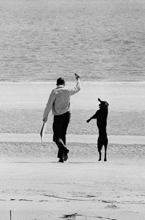 Elliott Erwitt. Dog mimicking his taller friend, Long Island, New York, 1962 extrême droite le salut nazi chez les chiens