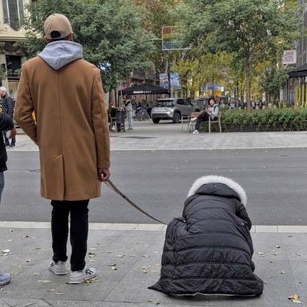 Frank J Llamas chien on va se promener