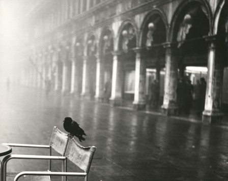 Henriette Grindat. Venise , vers 1955 oiseau je suis en terrasse temps d'automne