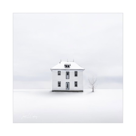 dans un paysage de neige, une maison blanche à côté d'un arbuste maigrichon