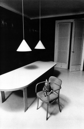 Jeanloup Sieff. Lonely cat in an inhospitable environment,, Paris, 1973 chat déglinguer les suspensions parce que c'est notre projet