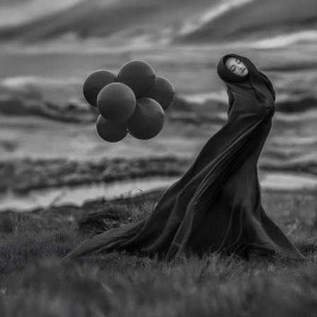 Joachim Bergauer les ballons noirs les fêtes macabres mitose et méiose chez les eucaryotes