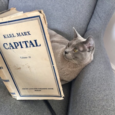 Karl Marx le capital livre Kat Marx quels sont les ouvrages de base de la culture politique des chats de l'ultra-gauche