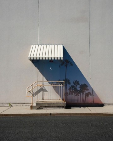 Los Angeles, photo de KangHee Kim, 2024 jour et nuit aux Etats-Unis l'ombre sur les palmiers