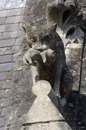 Mama cat gargoyle Cat with a kitten statue on the roof of the castle of Château de Pierrefonds, France. It was built between 1393-1407 chat gargouille
