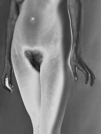 Mona Kuhn Bushes and Succulents le buisson de nuit