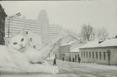 Olga Sobenina, Belarus, 2018 I Photoshopped Cats Into New Year’s Photos From The Former USSR un chat blanc en hiver