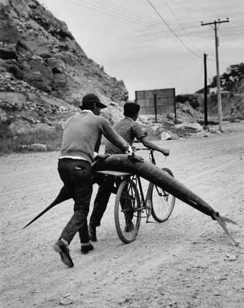 Rodrigo Moya. Marlin on a bicycle, Mexico, 1968 poisson la pêche à vélo