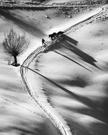 dans un paysage d'hiver, un homme et un cheval tirant une charrette progressent dans la neige