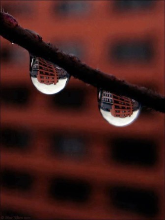 Stine Nilsen miroir le reflet d'une maison rouge dans la goutte de pluie