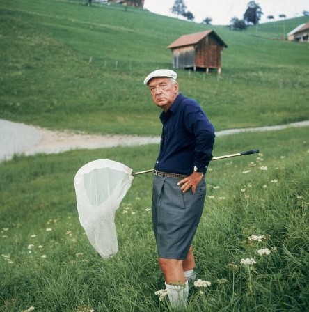 Vladimir Nabokov le chasseur de papillons la nuit du chasseur