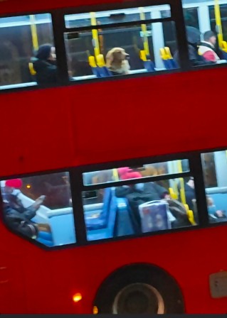 bus être un chien oui mais un chien anglais