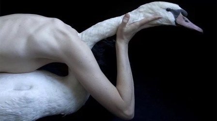 une femme allongée tend le cou (d'un cygne