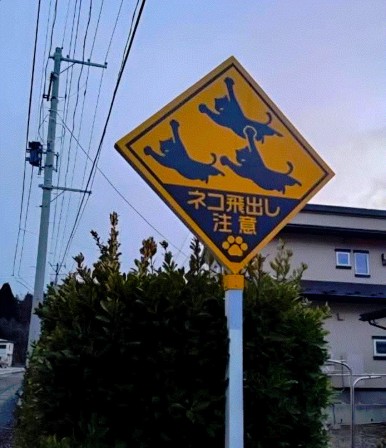 panneau attention chats volants